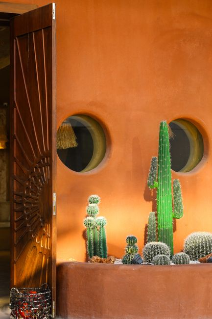 Home Stylish entrance with wooden door and cactus display against an orange wall, creating a desert-like atmosphere.