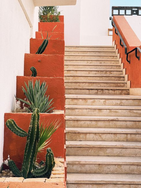 Home Cactus plants line a vibrant red staircase in Egypt, creating a striking architectural scene.